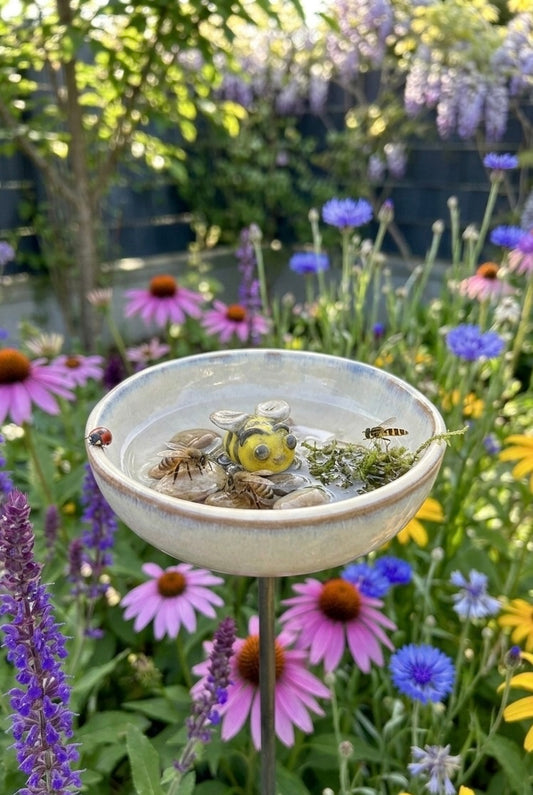 Insektentränke Bieni