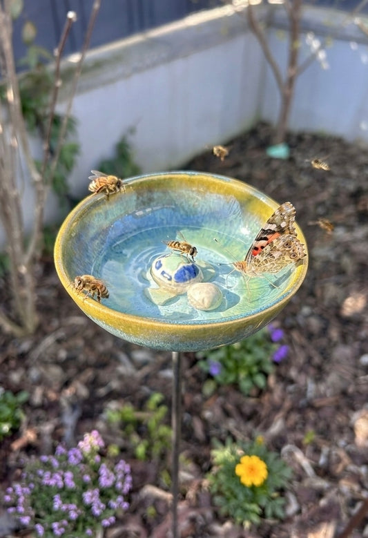 Insektentränke Blubbi